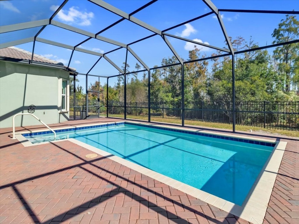 16308 Garnet Glen Place Wimauma FL 33598 TB8448973 image53