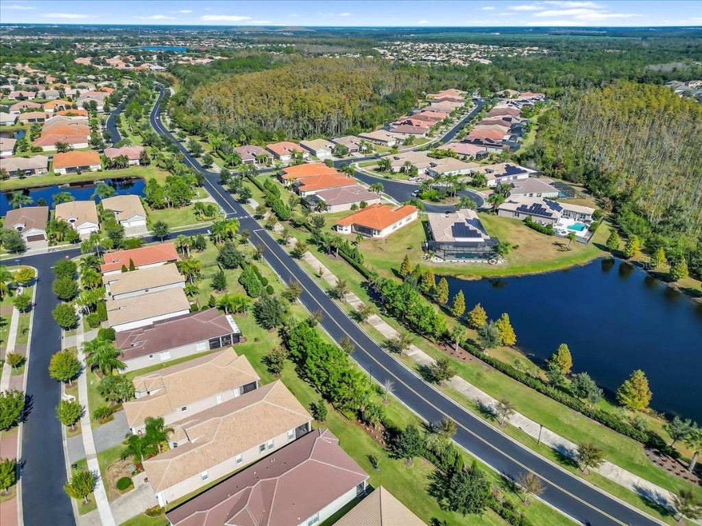 16308 Garnet Glen Place Wimauma FL 33598 TB8448973 image58