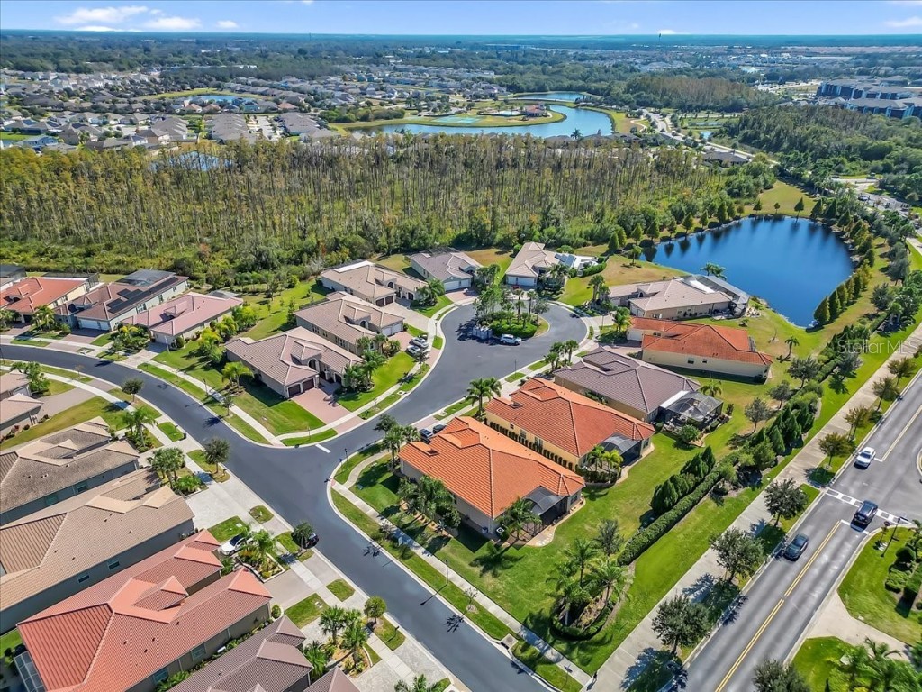 16308 Garnet Glen Place Wimauma FL 33598 TB8448973 image61