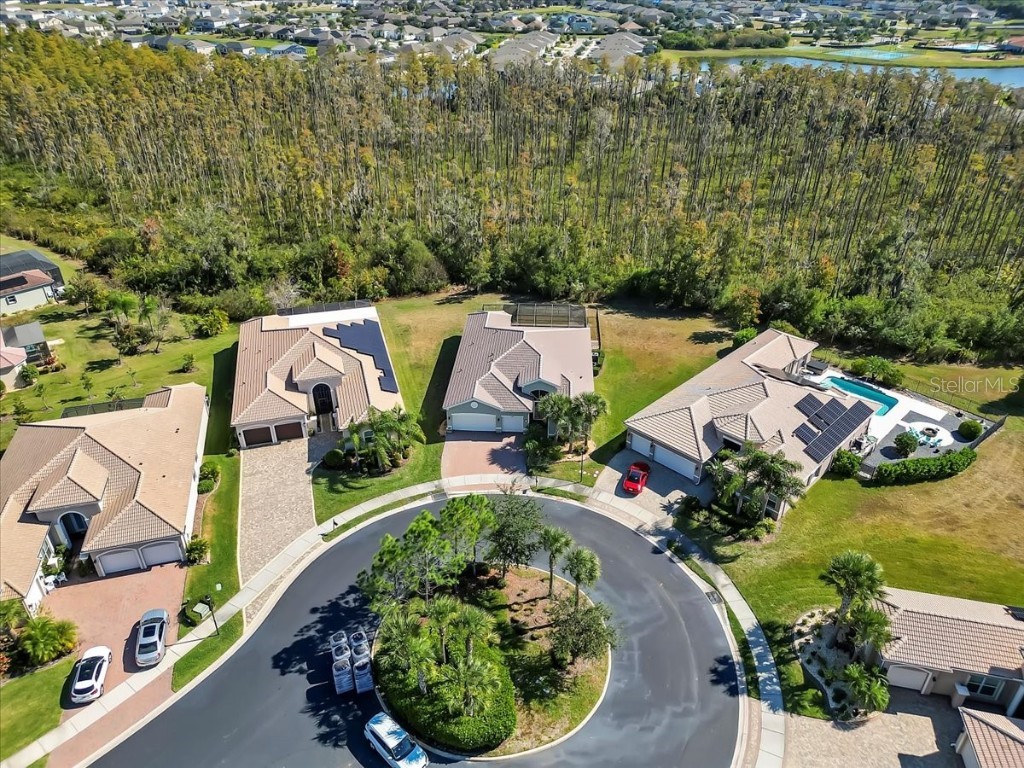 16308 Garnet Glen Place Wimauma FL 33598 TB8448973 image62