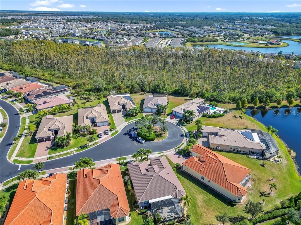 16308 Garnet Glen Place Wimauma FL 33598 TB8448973 image63