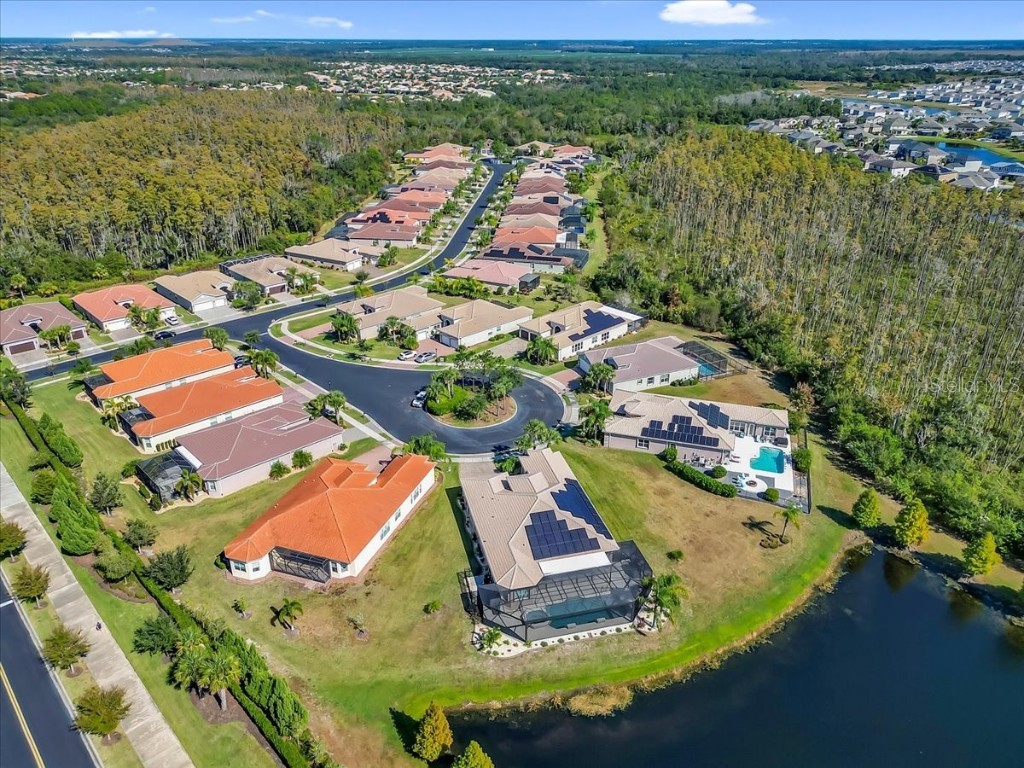 16308 Garnet Glen Place Wimauma FL 33598 TB8448973 image64