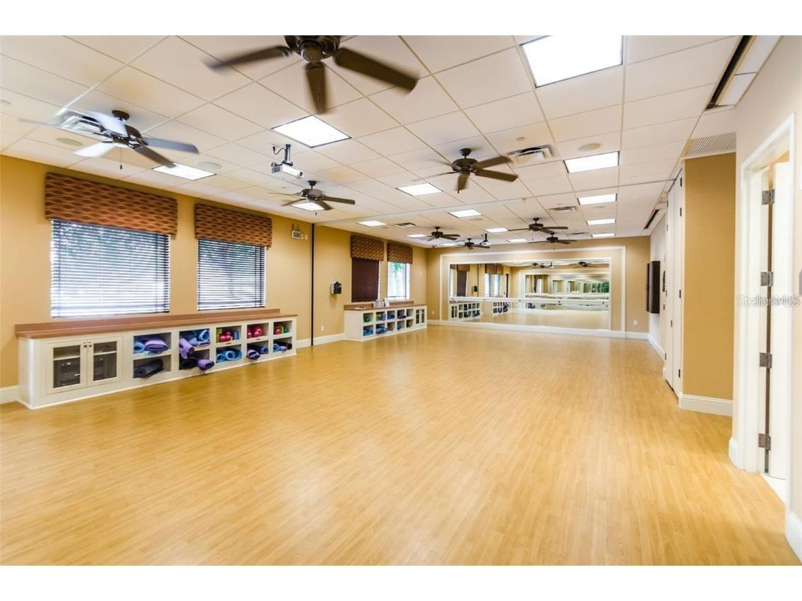 16308 Garnet Glen Place Wimauma FL 33598 TB8448973 image74