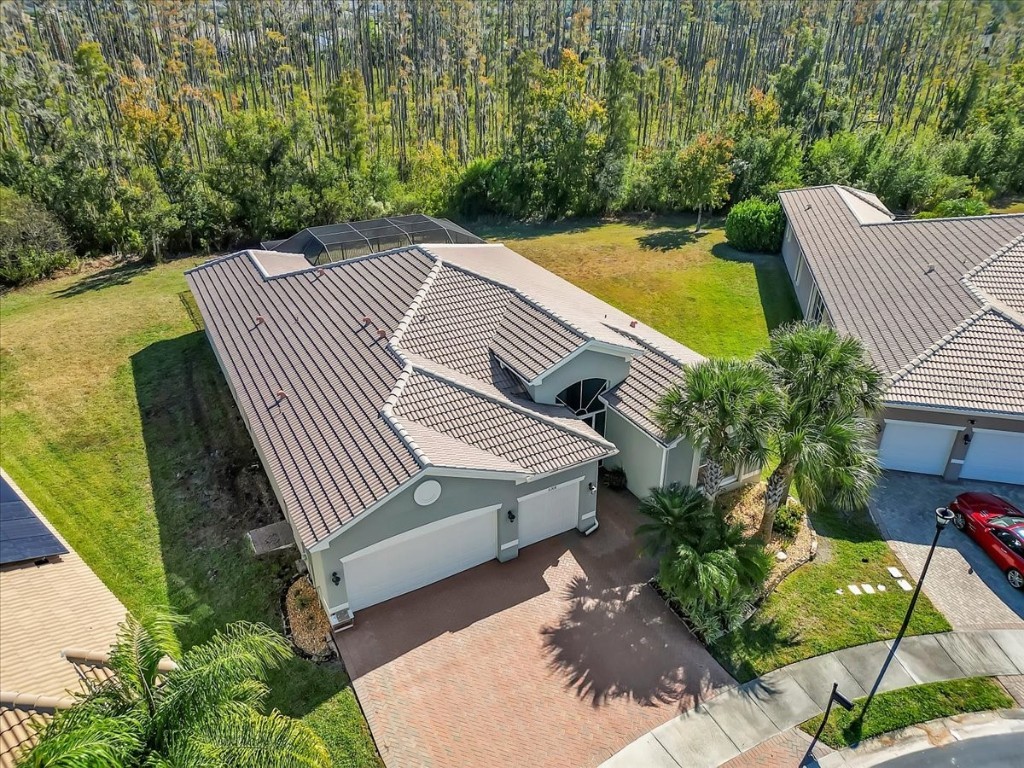 16308 Garnet Glen Place Wimauma FL 33598 TB8448973 image8