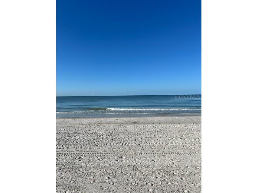 16308 Gulf Boulevard #103 Redington Beach FL 33708 TB8414556 image19