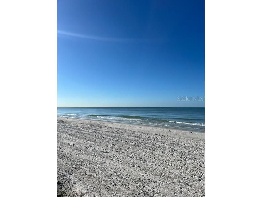 16308 Gulf Boulevard #103 Redington Beach FL 33708 TB8414556 image20