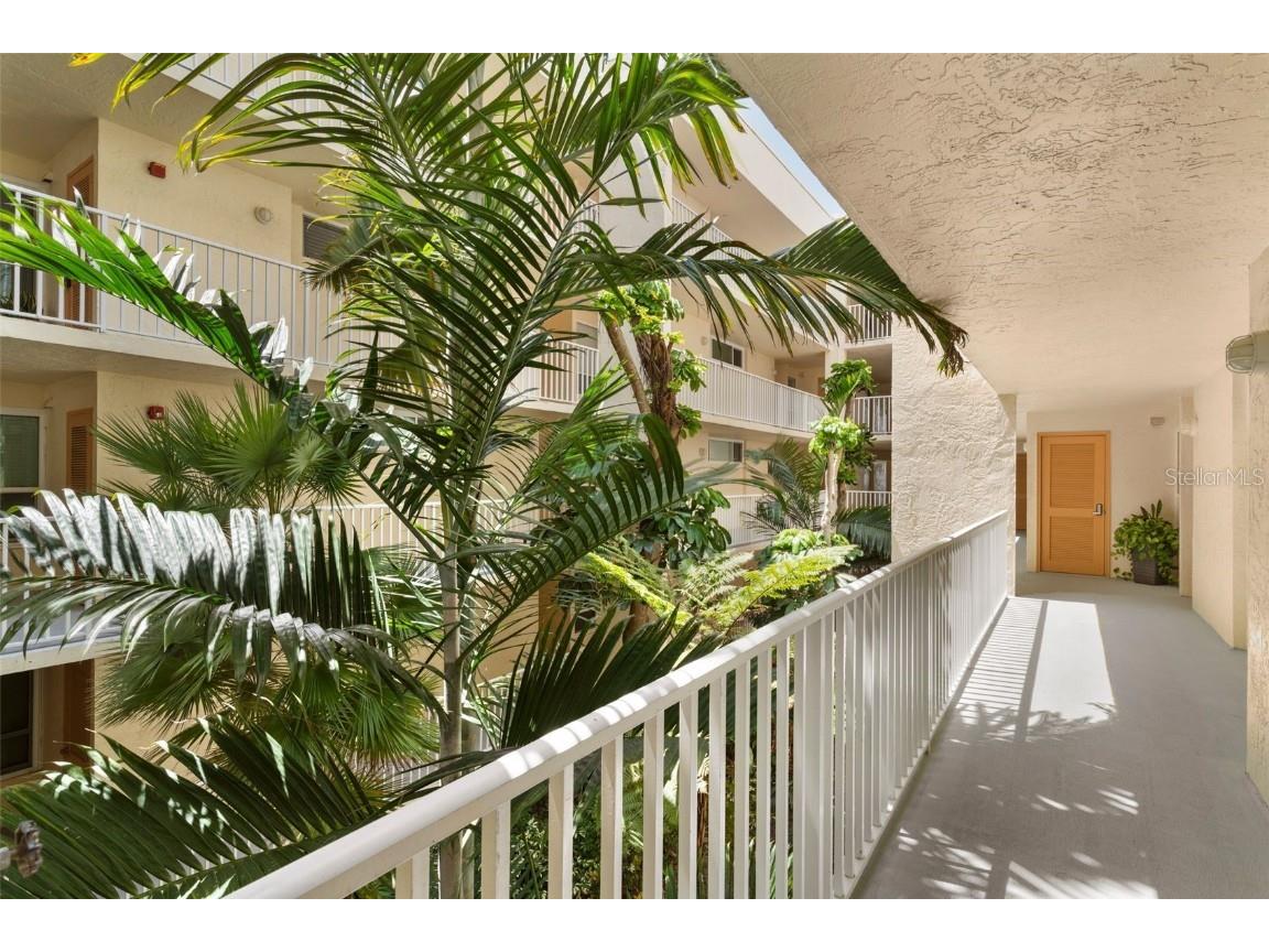 16308 Gulf Boulevard #209 Redington Beach FL 33708 - GULF OF MEXICO T3548081 image34