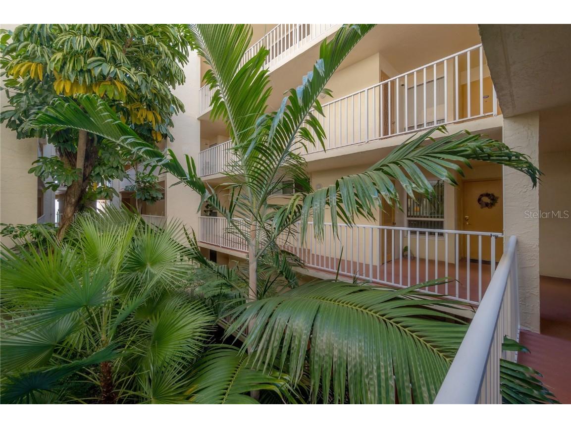 16308 Gulf Boulevard #209 Redington Beach FL 33708 - GULF OF MEXICO T3548081 image36
