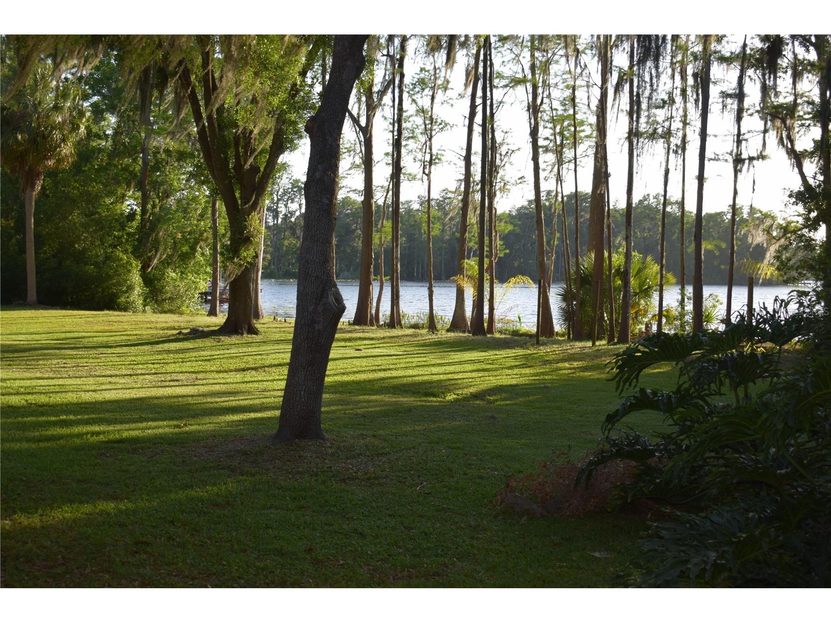 16308 Rock Lake Drive Odessa FL 33556 - LAKE JOSEPHINE TB8499372 image1