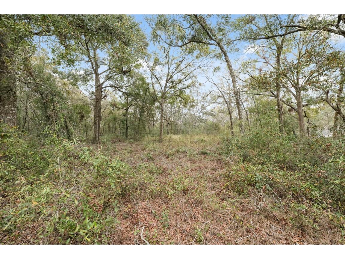16308 Shady Hills Road Spring Hill FL 34610 W7872736 image15