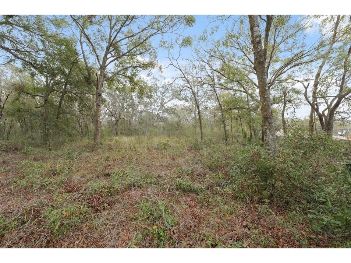16308 Shady Hills Road Spring Hill FL 34610 W7872736 image16