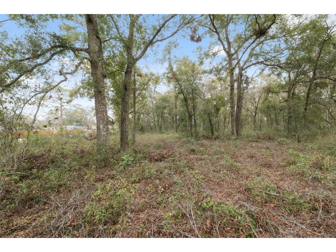 16308 Shady Hills Road Spring Hill FL 34610 W7872736 image17