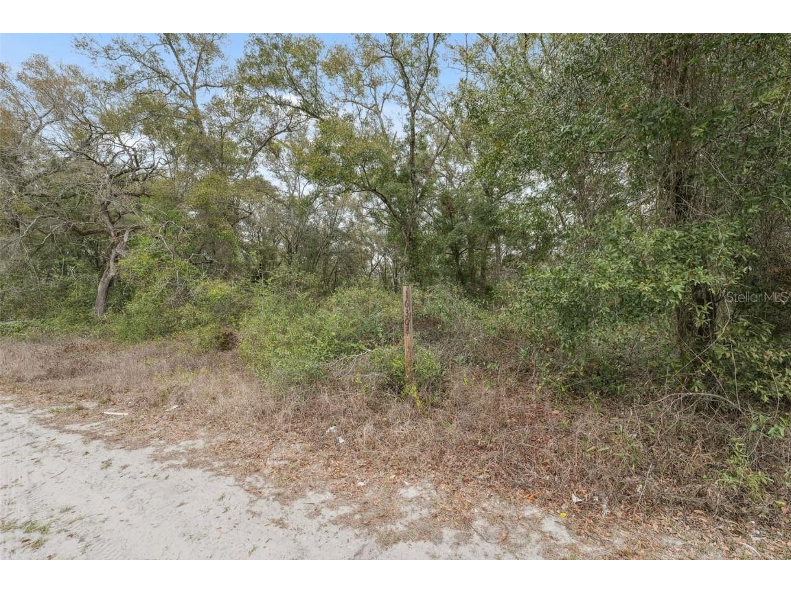 16308 Shady Hills Road Spring Hill FL 34610 W7872736 image18