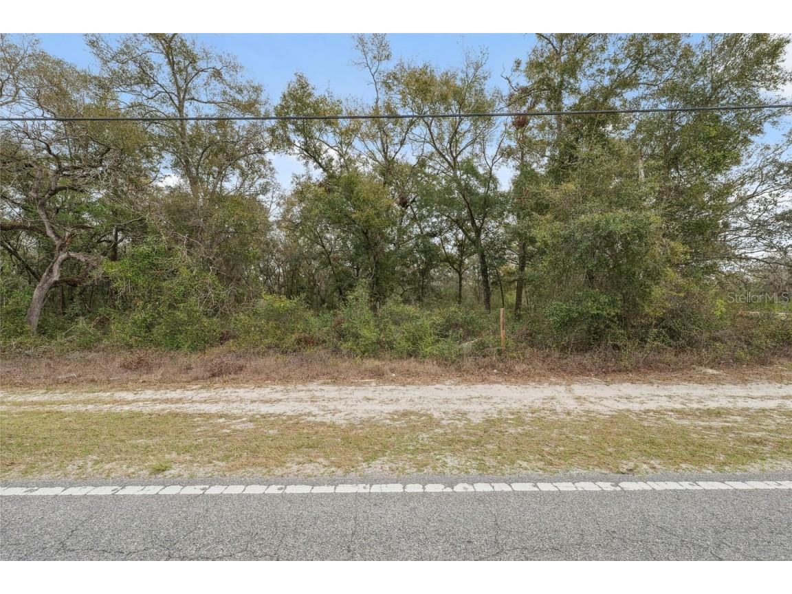 16308 Shady Hills Road Spring Hill FL 34610 W7872736 image19