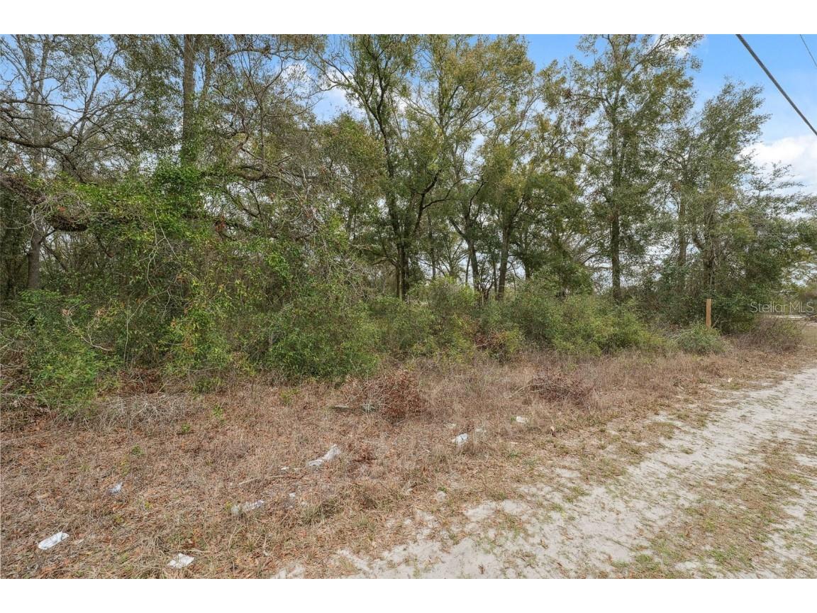 16308 Shady Hills Road Spring Hill FL 34610 W7872736 image21