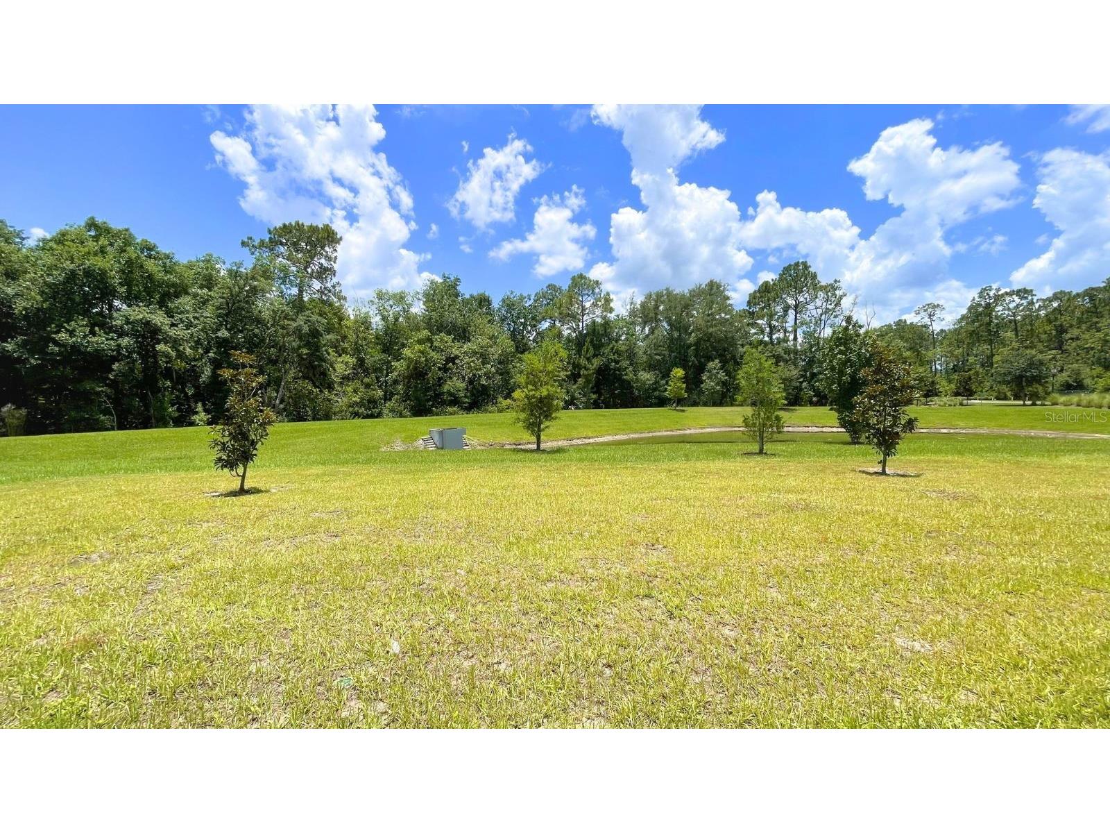 16308 Winding Preserve Circle Clermont FL 34714 S5151911 image7