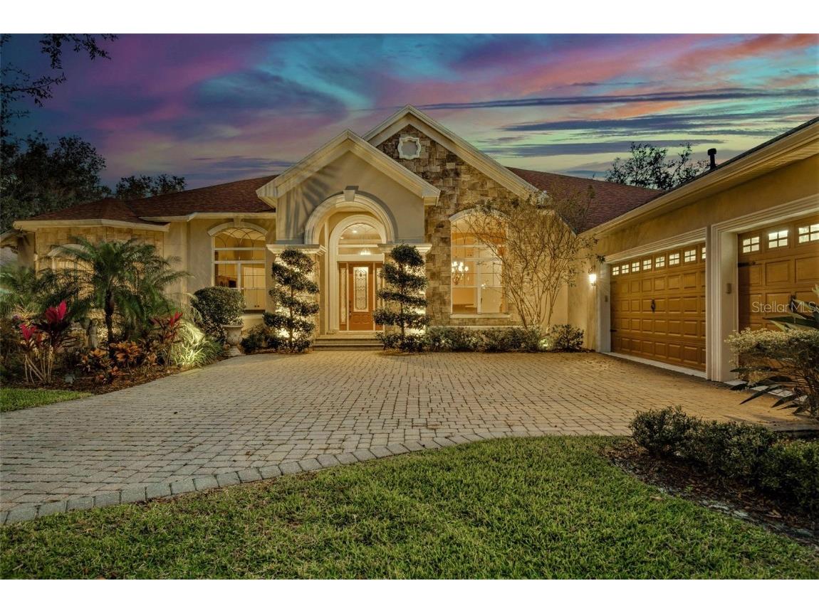 16309 Dunlindale Drive Lithia FL 33547 T3423072 image1