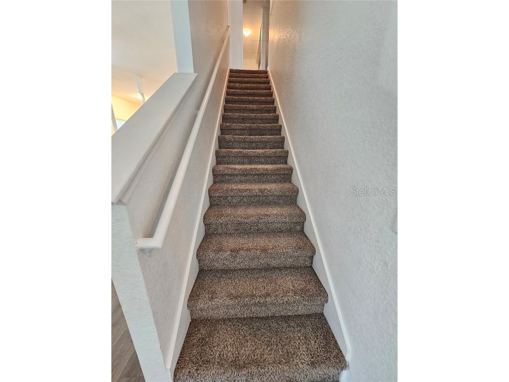 16309 Fairford Palms Court Tampa FL 33647 TB8447203 image17