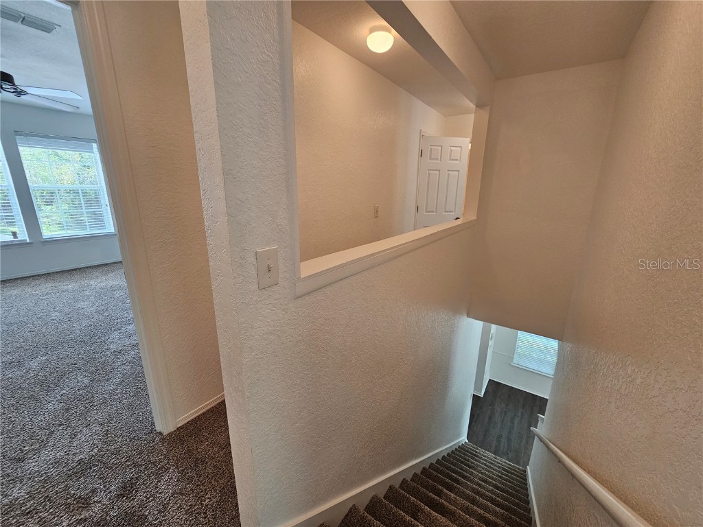 16309 Fairford Palms Court Tampa FL 33647 TB8447203 image18