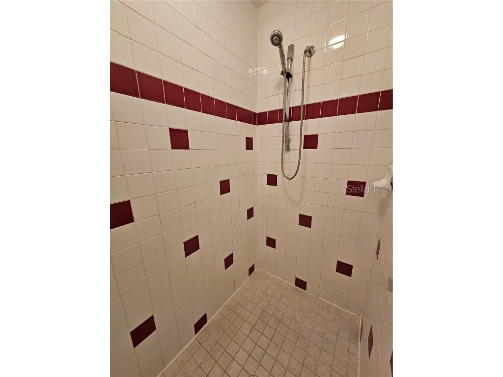 16309 Fairford Palms Court Tampa FL 33647 TB8447203 image24