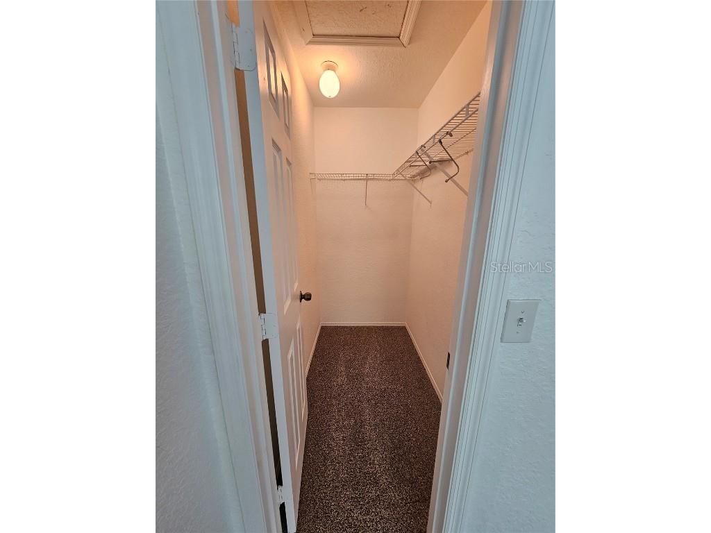 16309 Fairford Palms Court Tampa FL 33647 TB8447203 image30