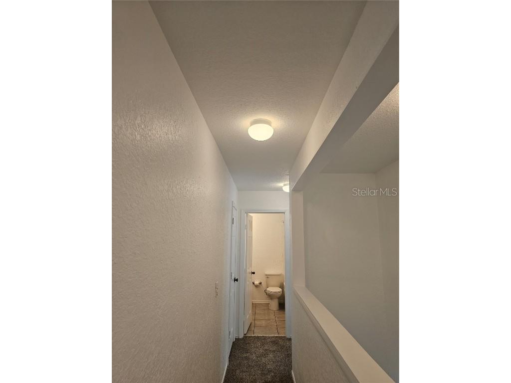 16309 Fairford Palms Court Tampa FL 33647 TB8447203 image31