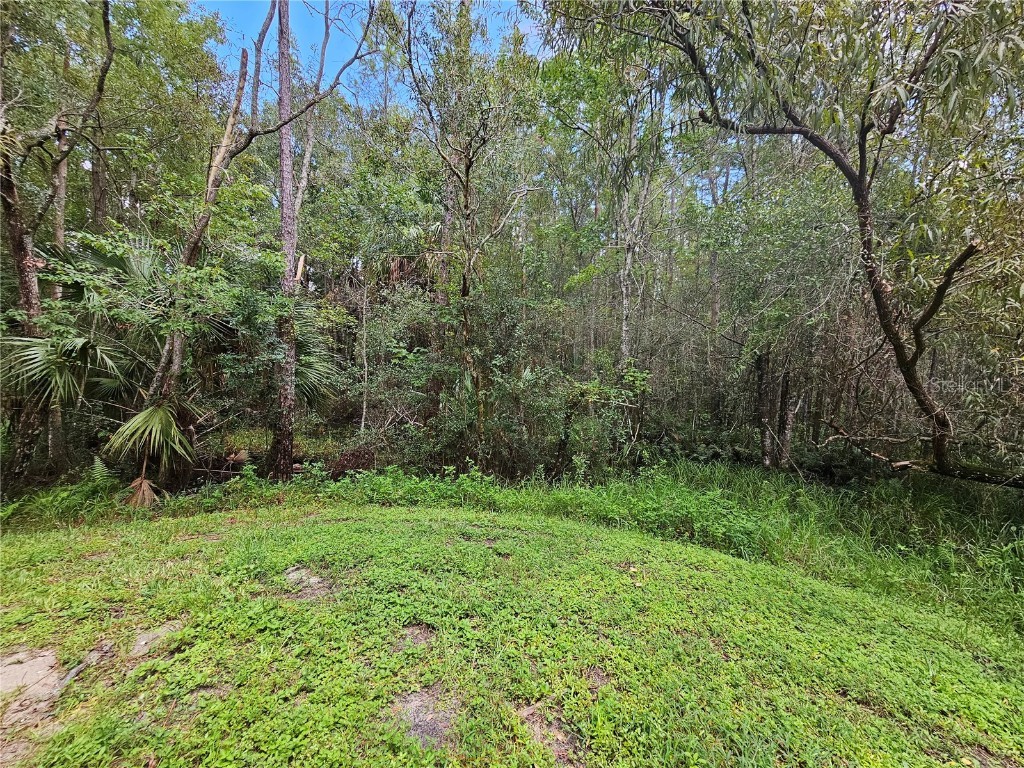 16309 Fairford Palms Court Tampa FL 33647 TB8447203 image45