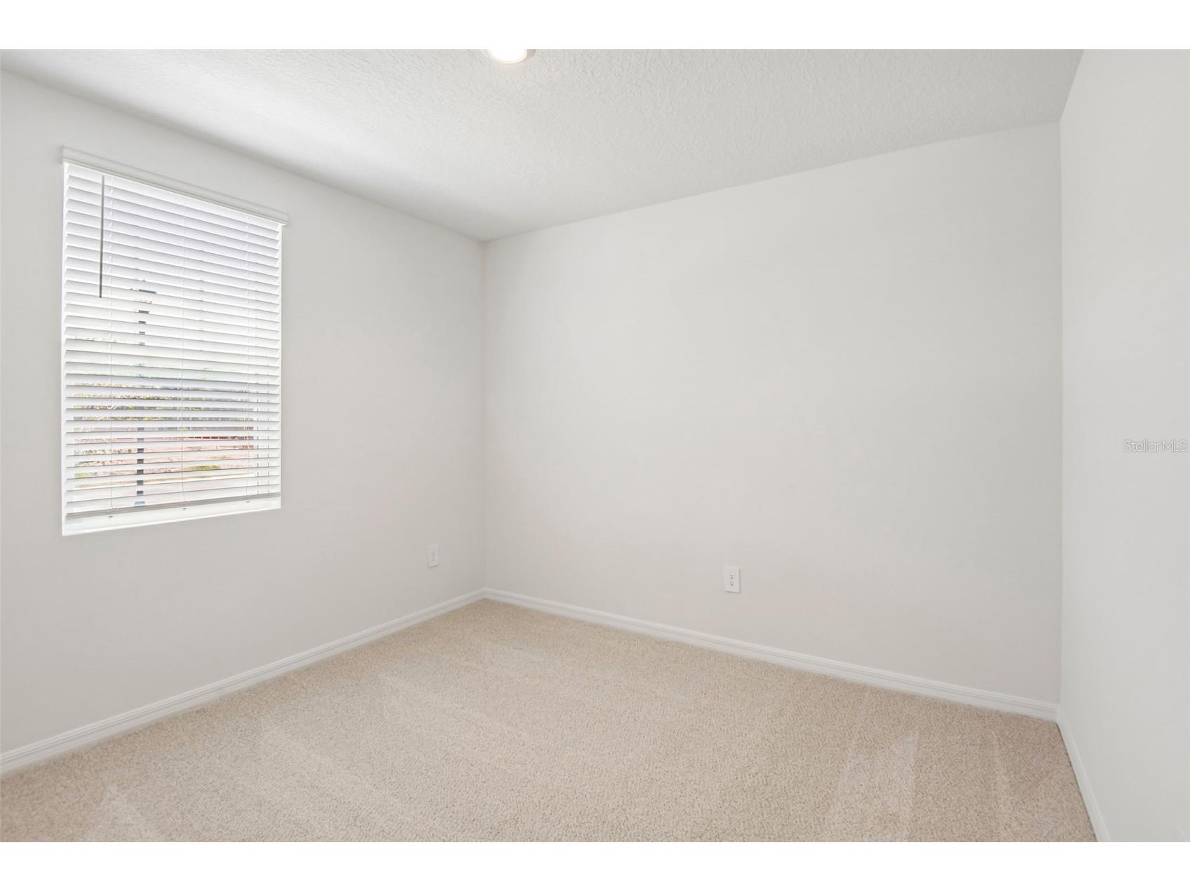 1631 Coolridge Place Zephyrhills FL 33541 TB8494708 image21