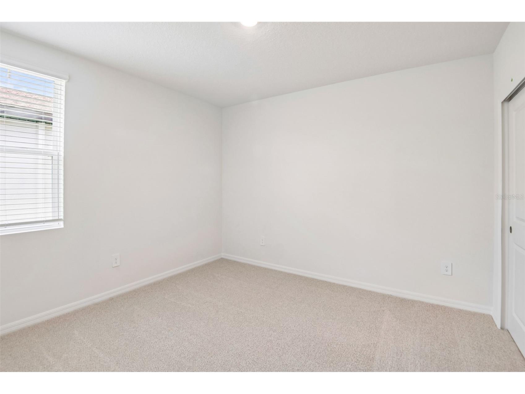 1631 Coolridge Place Zephyrhills FL 33541 TB8494708 image23