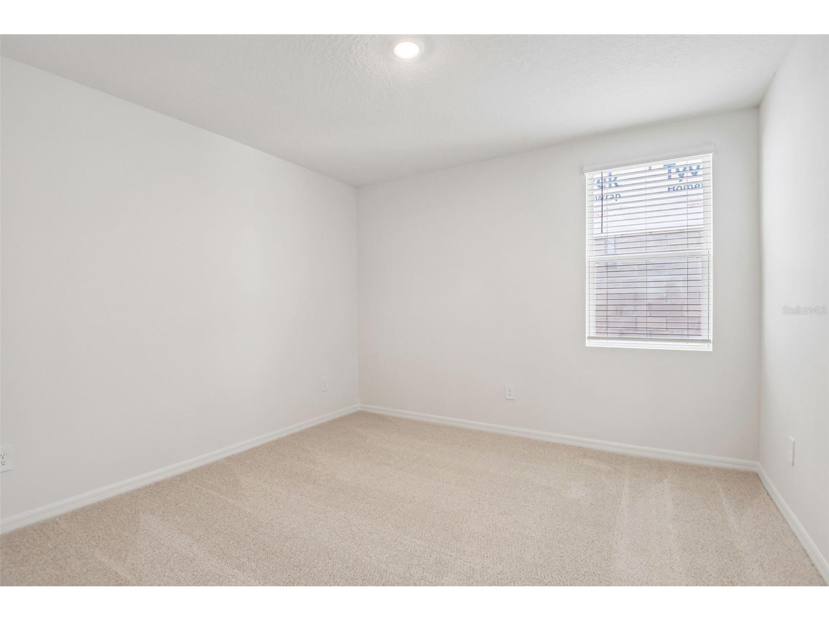 1631 Coolridge Place Zephyrhills FL 33541 TB8494708 image26