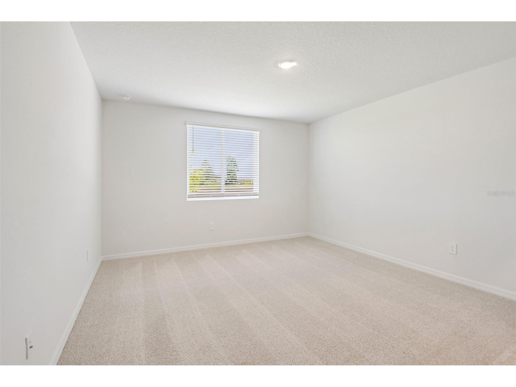 1631 Coolridge Place Zephyrhills FL 33541 TB8494708 image29