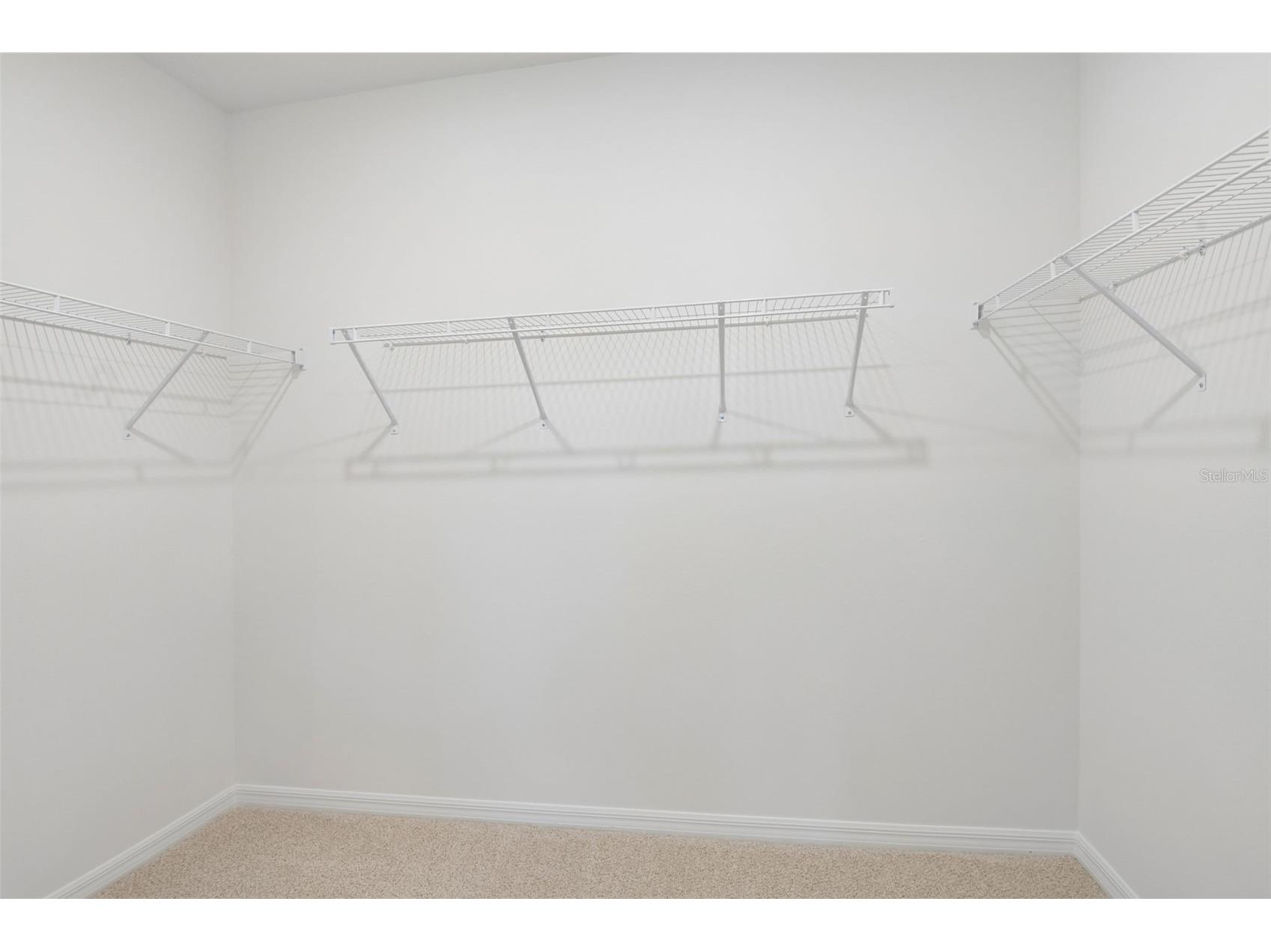 1631 Coolridge Place Zephyrhills FL 33541 TB8494708 image33