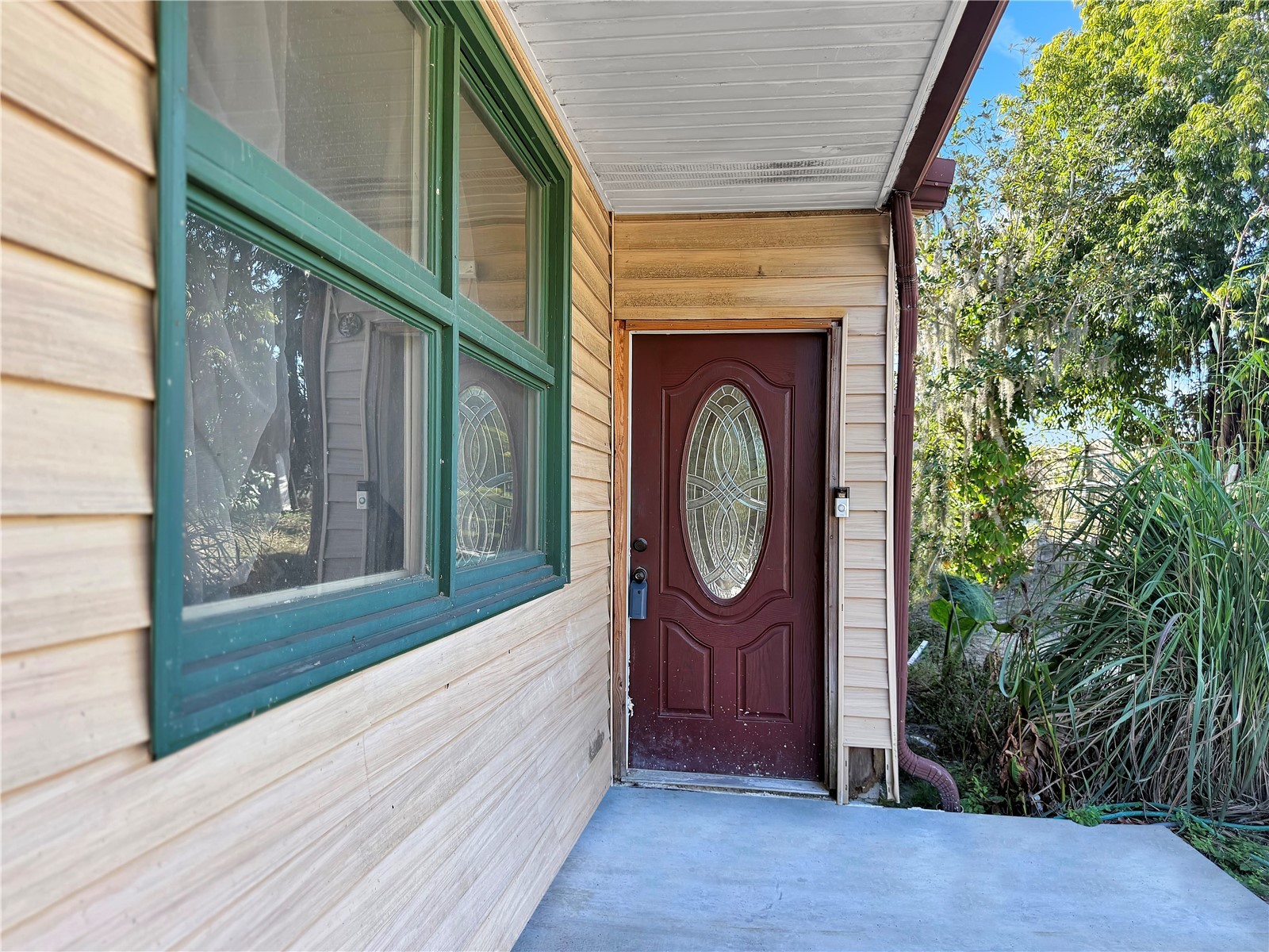 1631 Plaza Place Tarpon Springs FL 34689 W7881654 image12