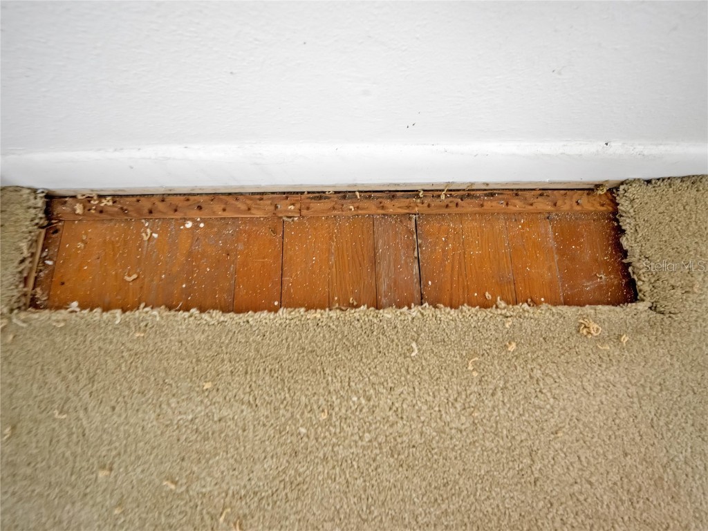 1631 SE 17th Street Ocala FL 34471 OM712631 image36