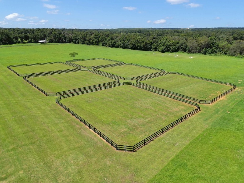 1631 W Hwy 329 Citra FL 32113 OM702718 image76