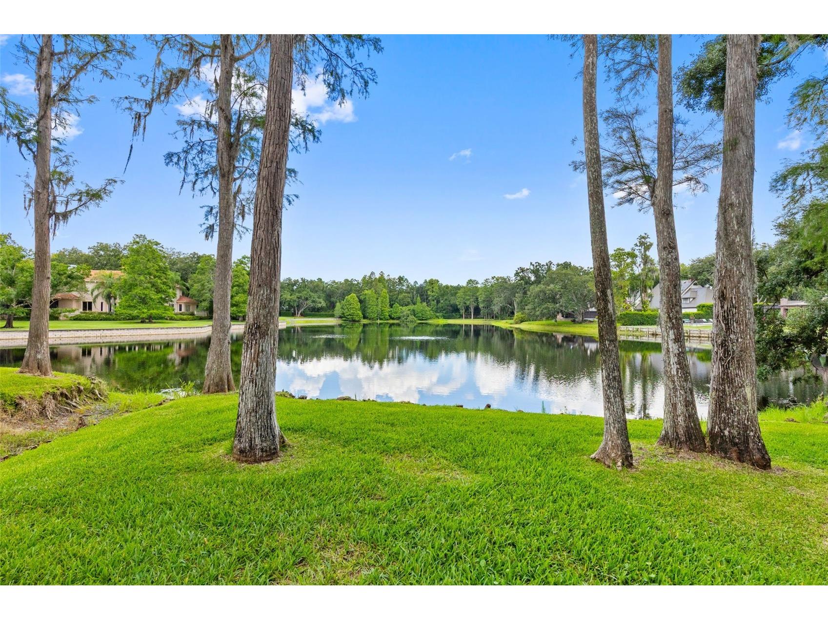 16310 Avila Boulevard Tampa FL 33613 - LAKE AVILA TB8513087 image100