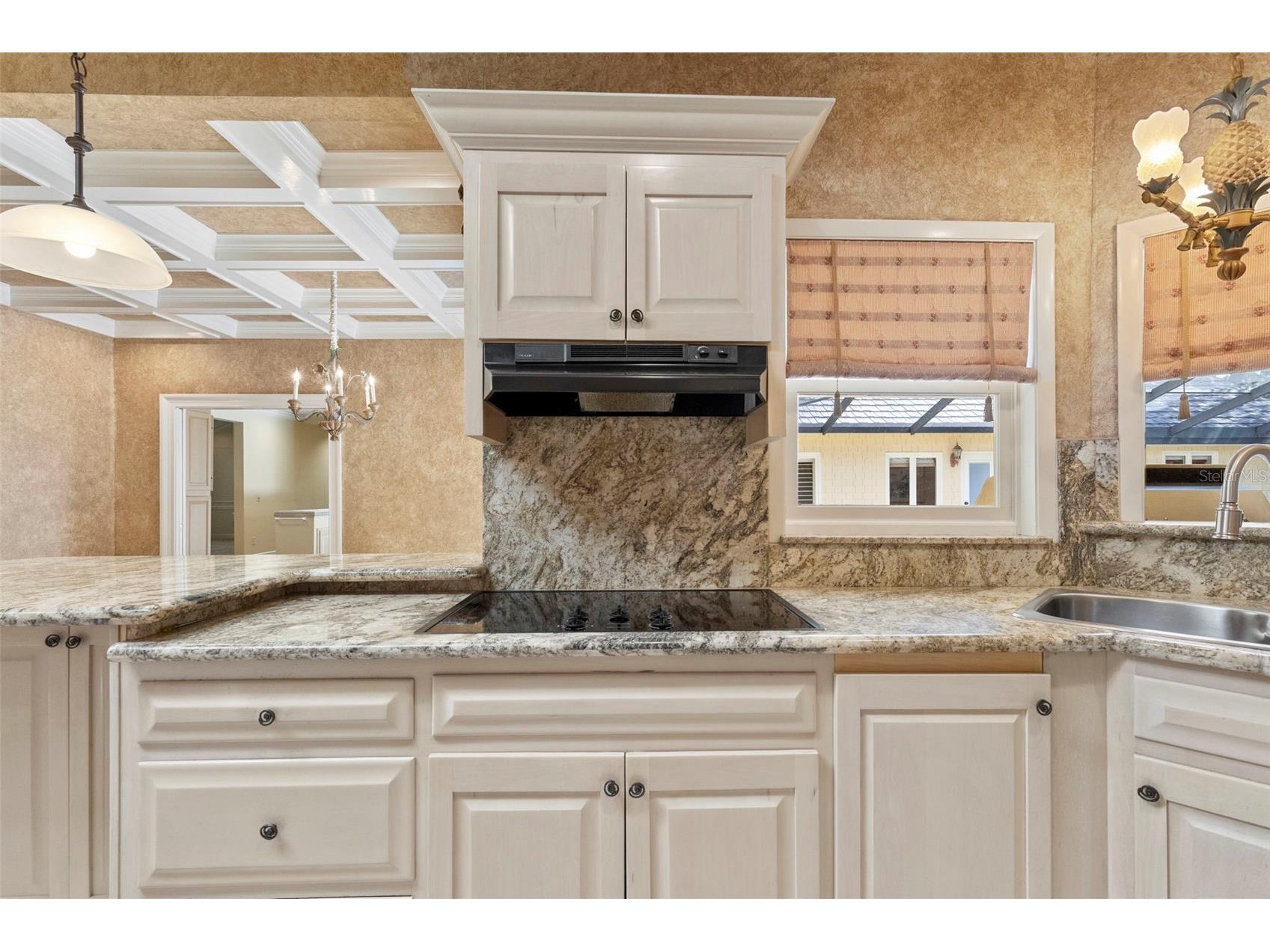 16310 Avila Boulevard Tampa FL 33613 - LAKE AVILA TB8513087 image26