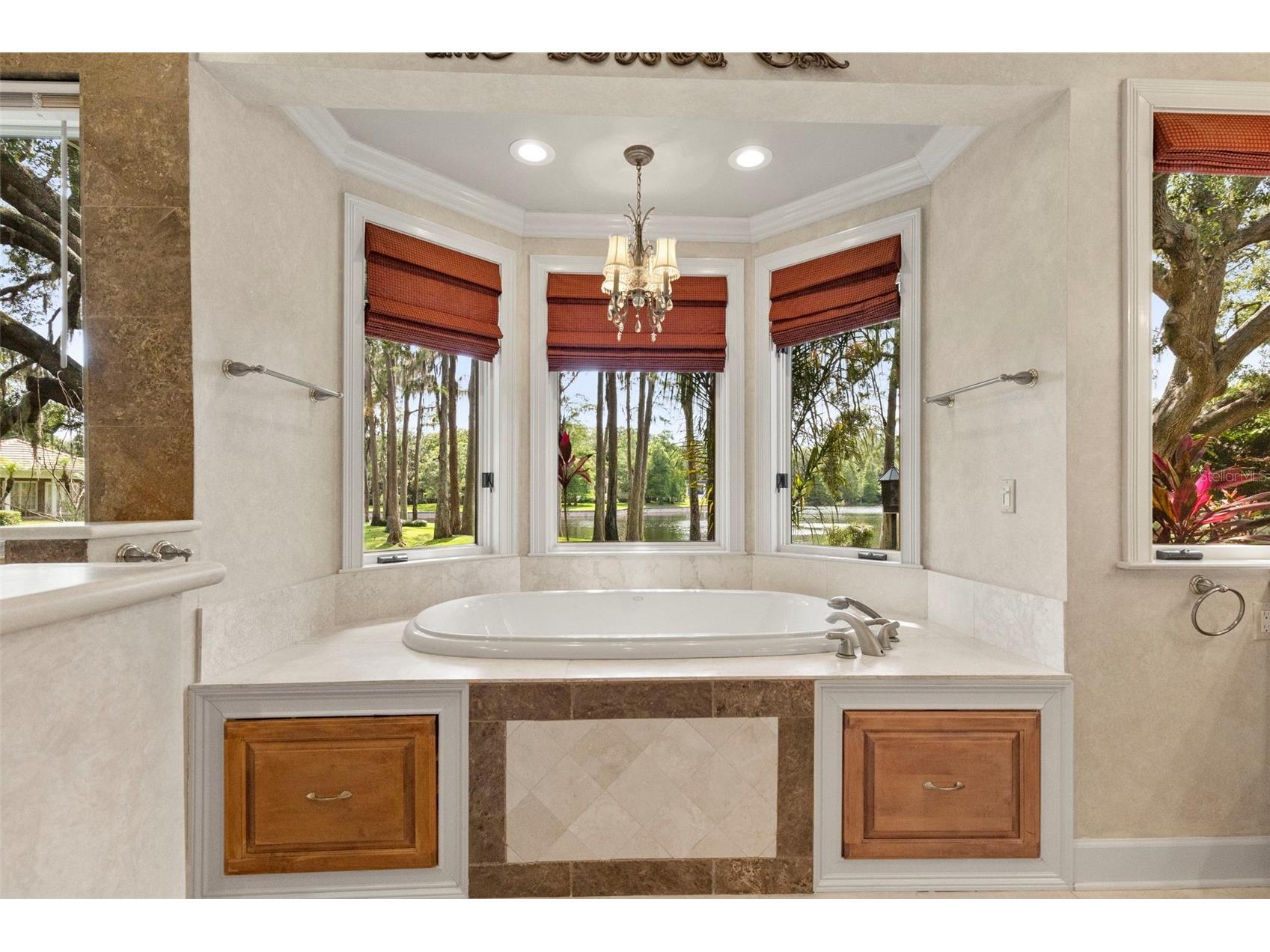 16310 Avila Boulevard Tampa FL 33613 - LAKE AVILA TB8513087 image46
