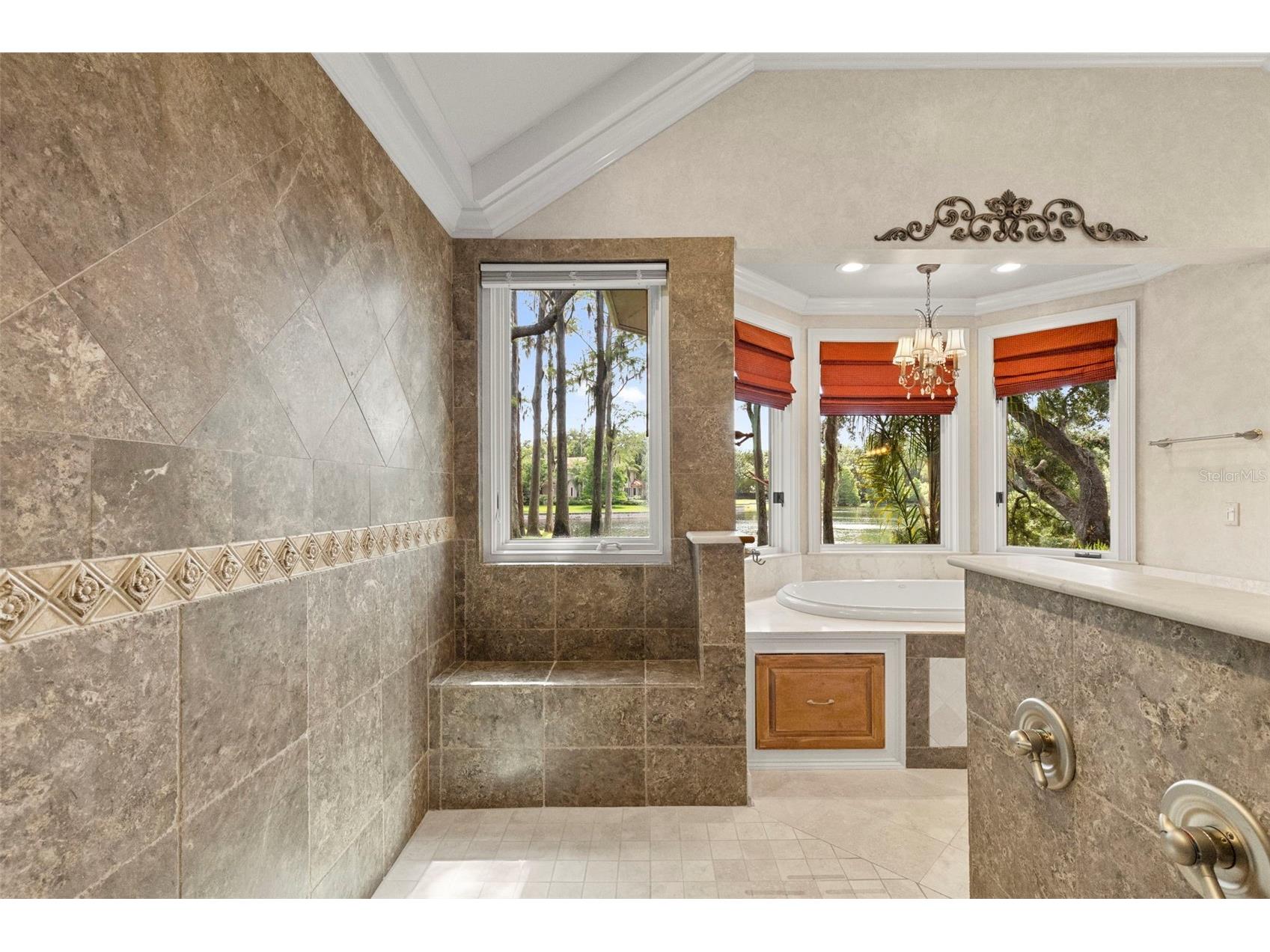 16310 Avila Boulevard Tampa FL 33613 - LAKE AVILA TB8513087 image50