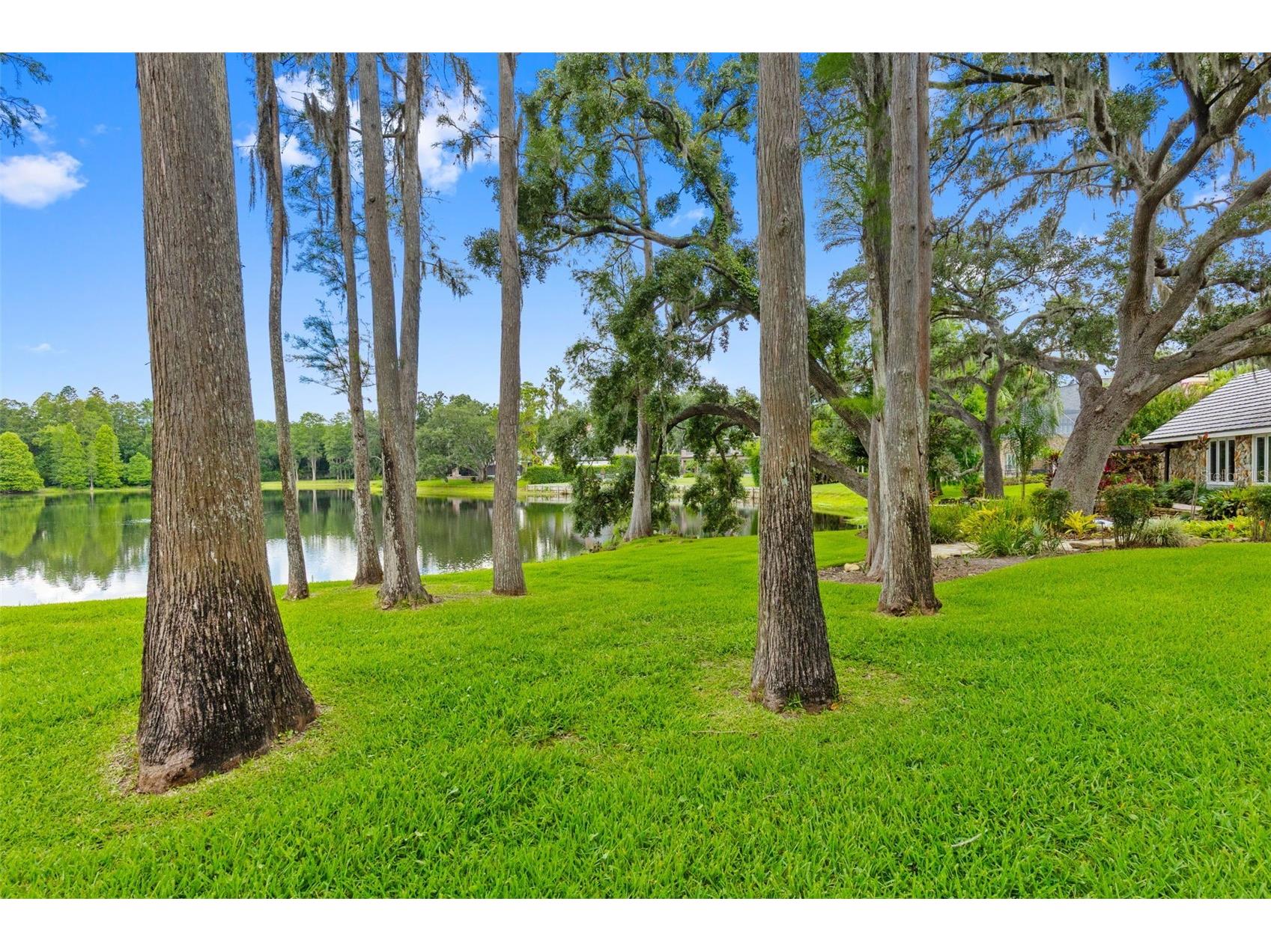 16310 Avila Boulevard Tampa FL 33613 - LAKE AVILA TB8513087 image99