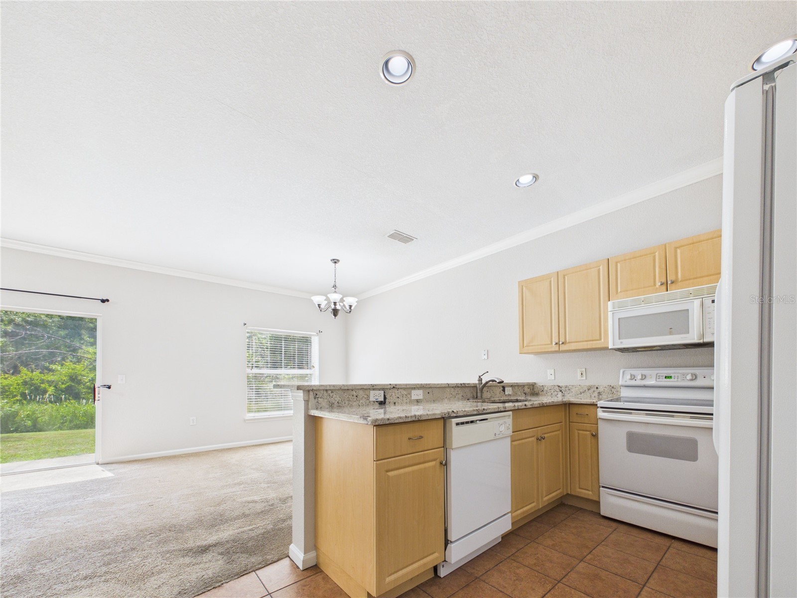 16310 Fairford Palms Court Tampa FL 33647 TB8521493 image10