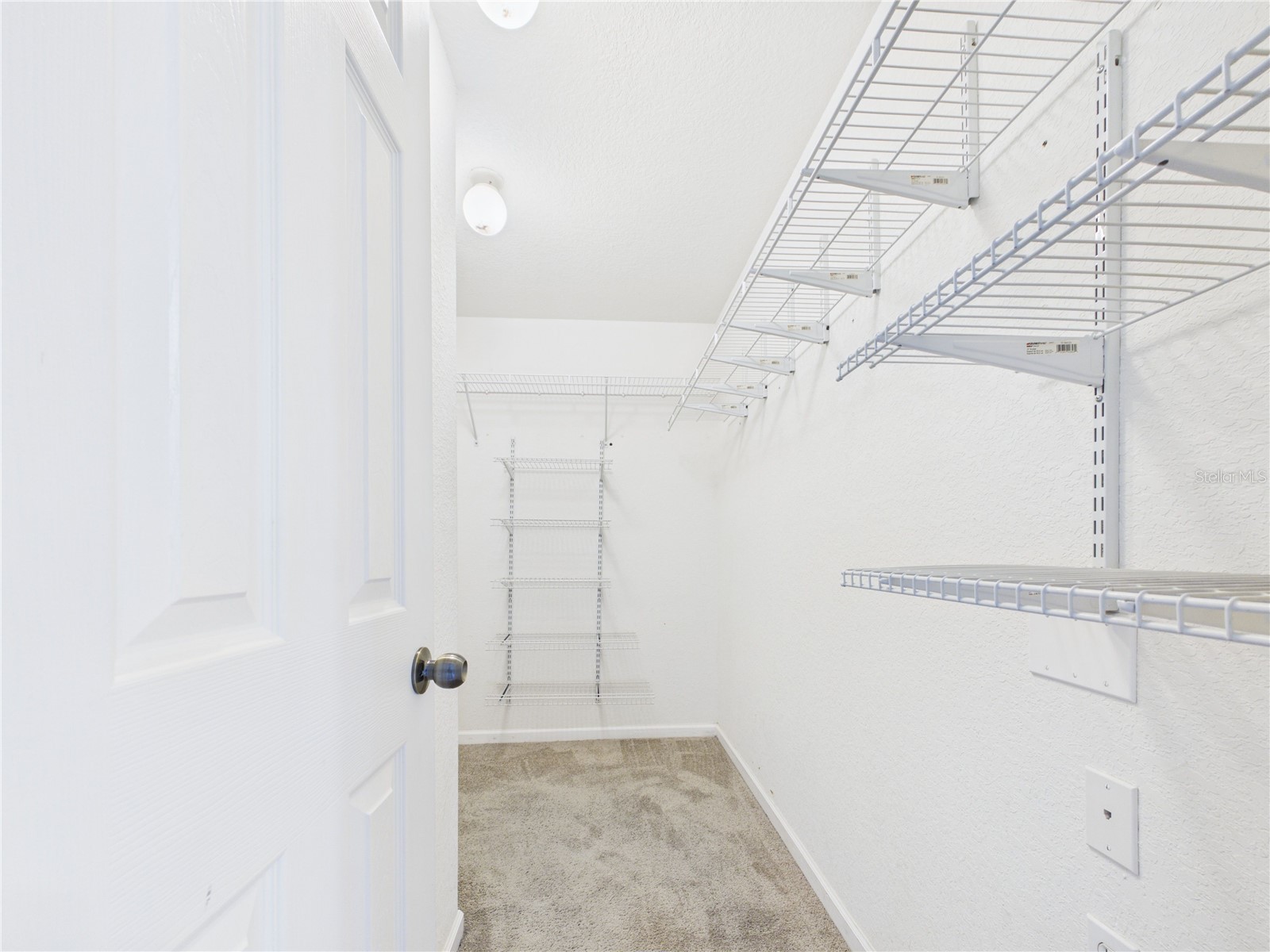 16310 Fairford Palms Court Tampa FL 33647 TB8521493 image25