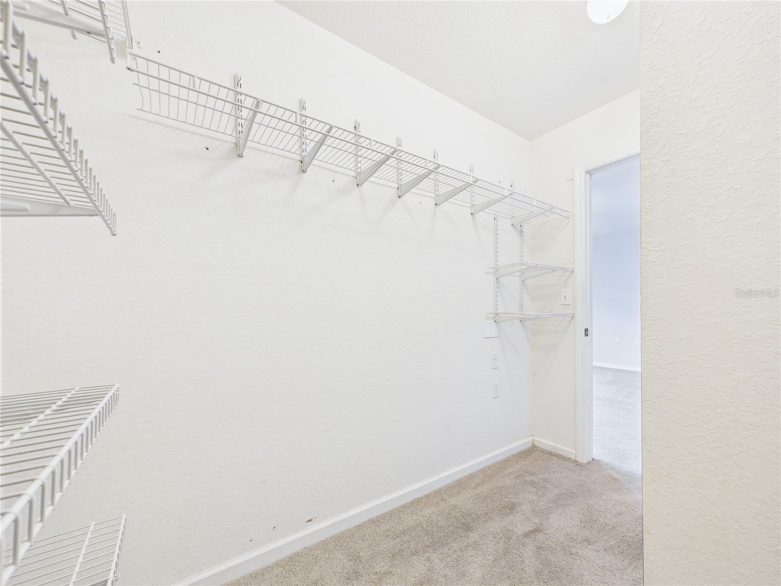 16310 Fairford Palms Court Tampa FL 33647 TB8521493 image26