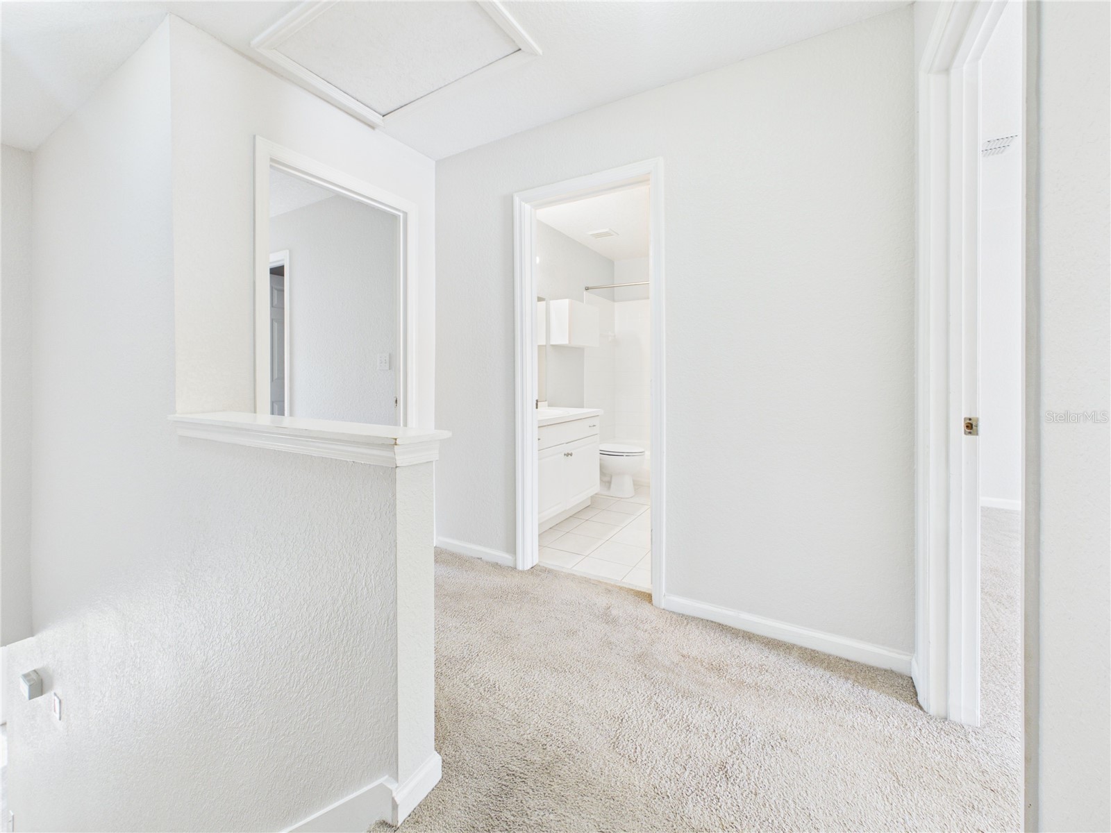 16310 Fairford Palms Court Tampa FL 33647 TB8521493 image38