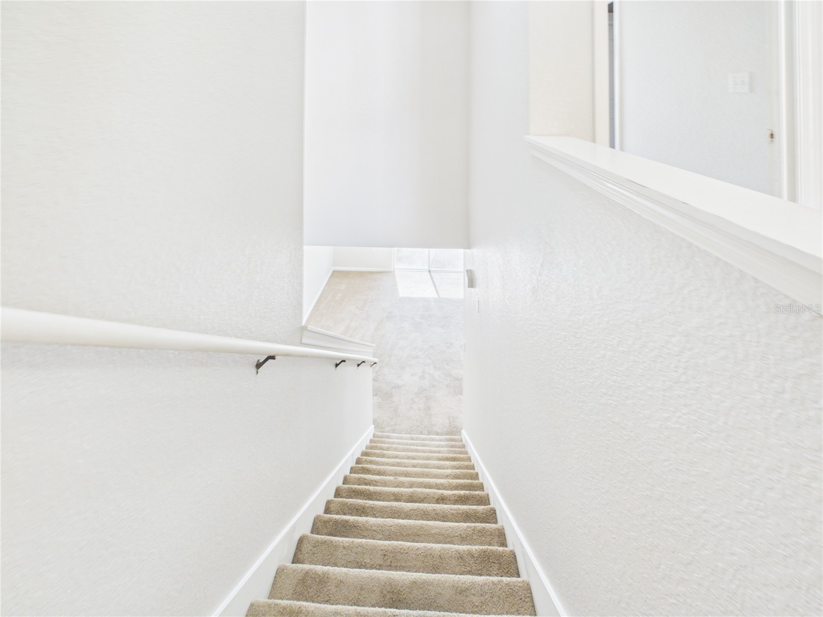 16310 Fairford Palms Court Tampa FL 33647 TB8521493 image39