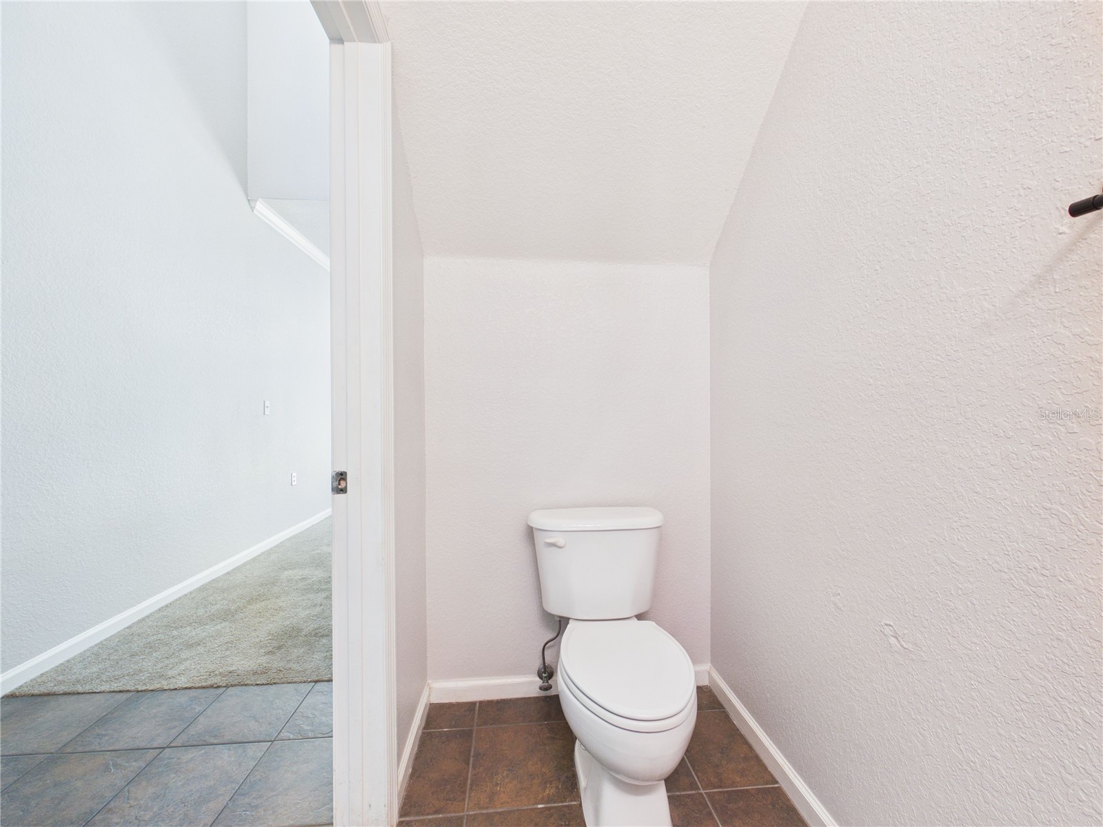 16310 Fairford Palms Court Tampa FL 33647 TB8521493 image4