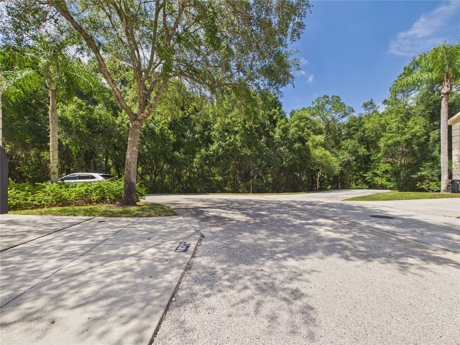 16310 Fairford Palms Court Tampa FL 33647 TB8521493 image50