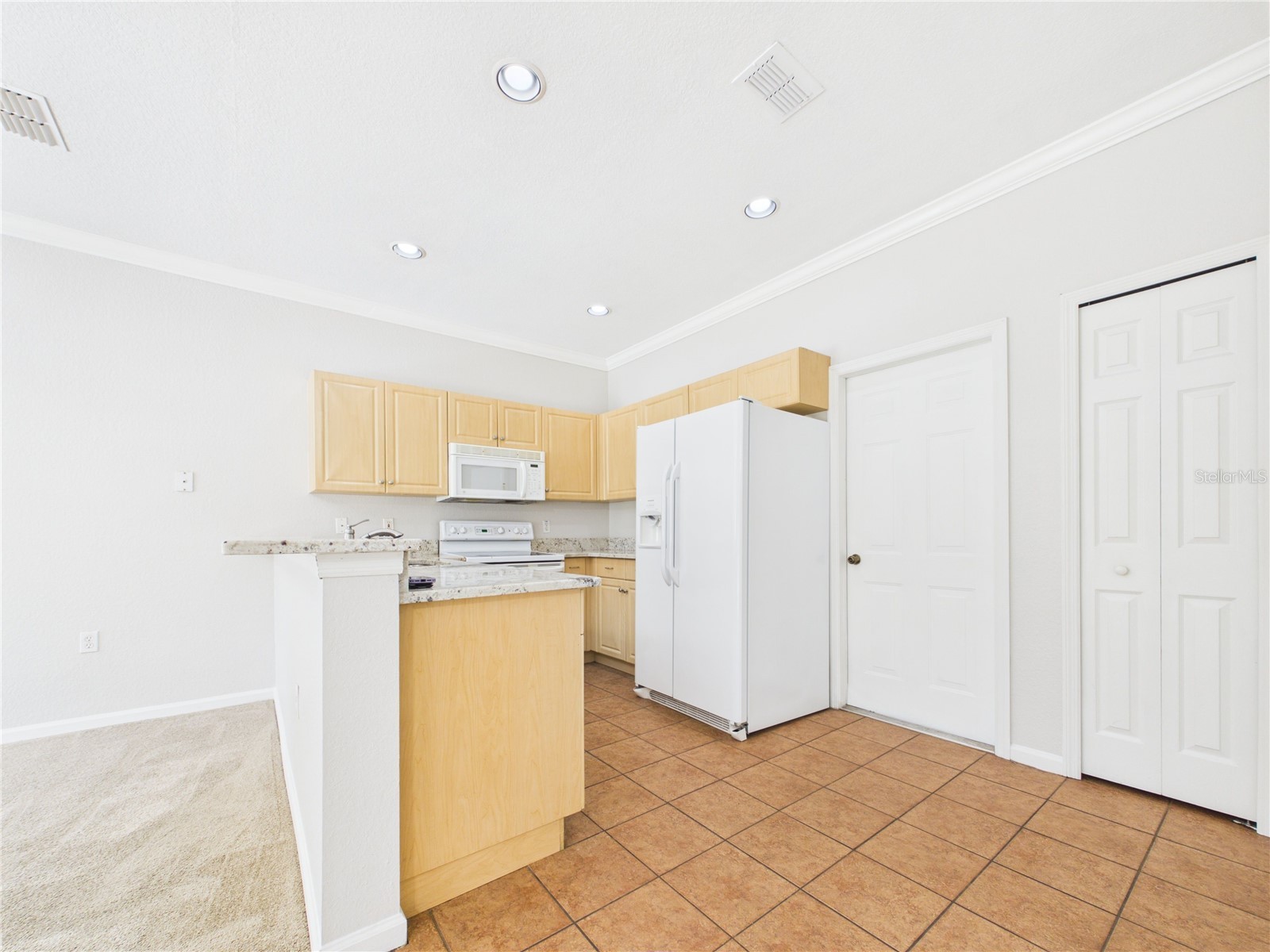 16310 Fairford Palms Court Tampa FL 33647 TB8521493 image8