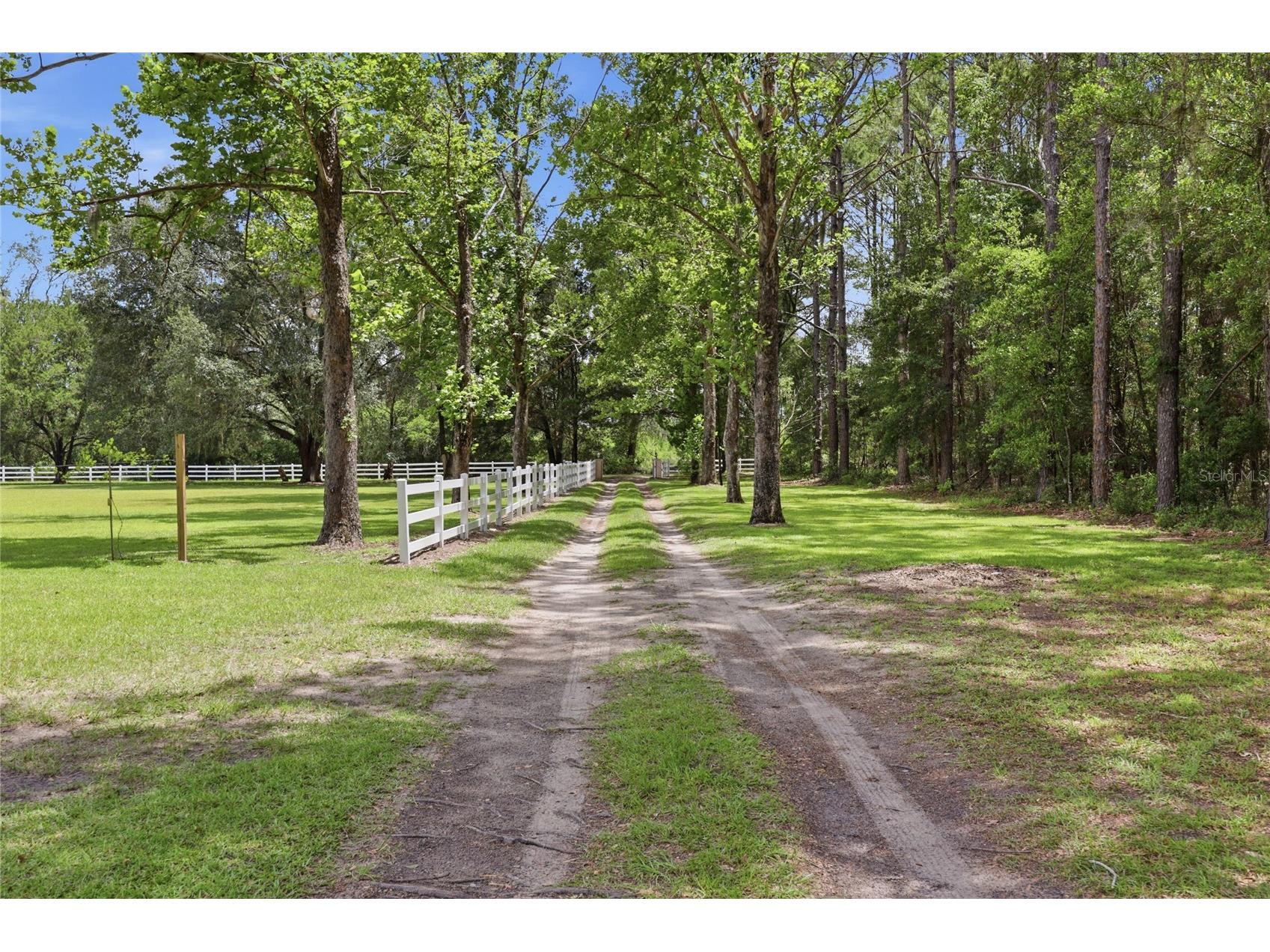 16310 NW 40th Place Newberry FL 32669 GC541452 image3