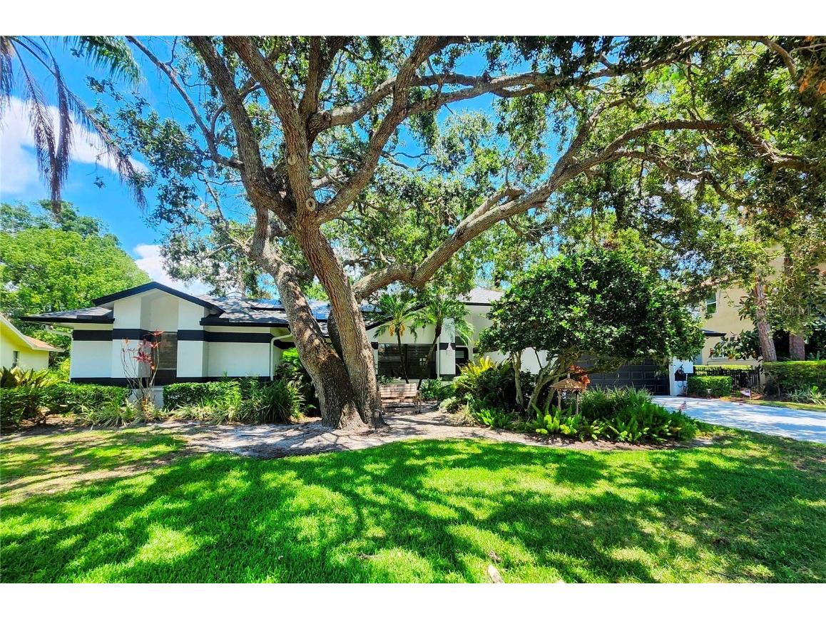 16311 Colwood Drive Odessa FL 33556 TB8347992 image1